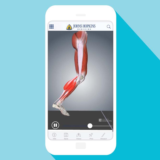 Image of leg anatomy featured on smart phone
